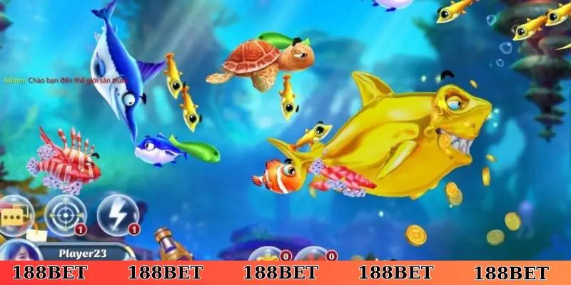 Những chế độ nên tham gia khi chơi tại bắn cá H5 chơi ngay